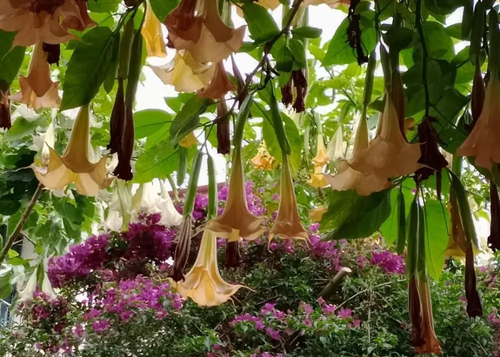 The Gallery Lejlighed *