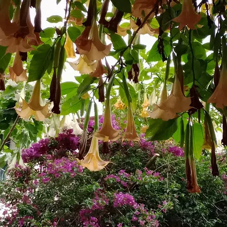 The Gallery דירה *