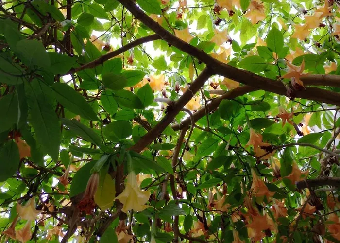 The Gallery * פורטו